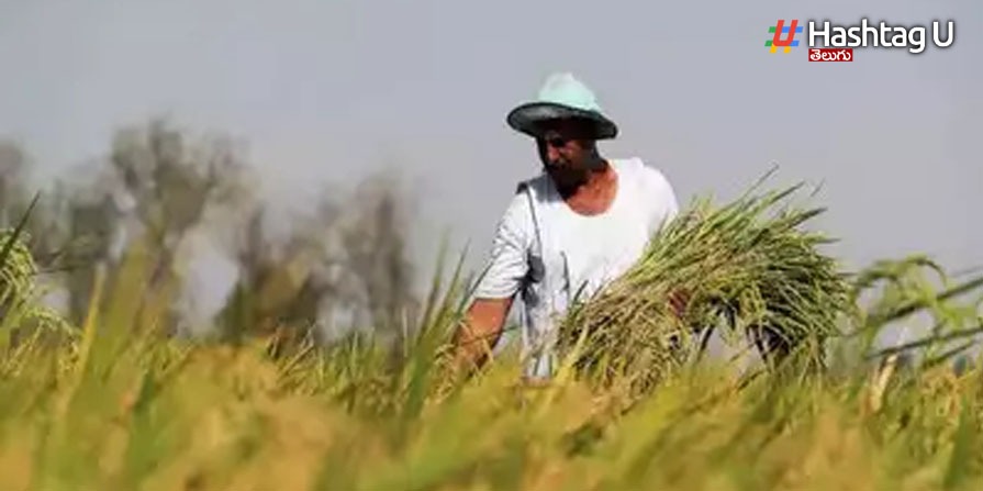 Farmers: తెలంగాణ `వ‌రి ధాన్యం` క‌ర్నాట‌క కొనుగోలు