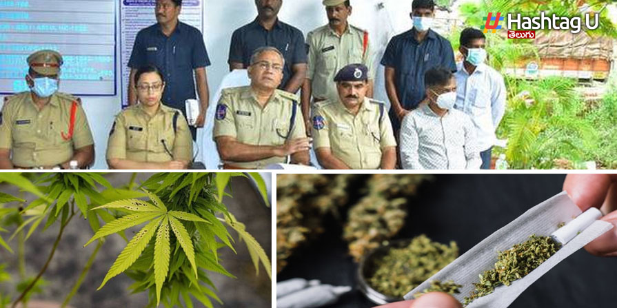 Ganja : సంగారెడ్డిలో 40 లక్షల విలువైన గంజాయి స్వాధీనం