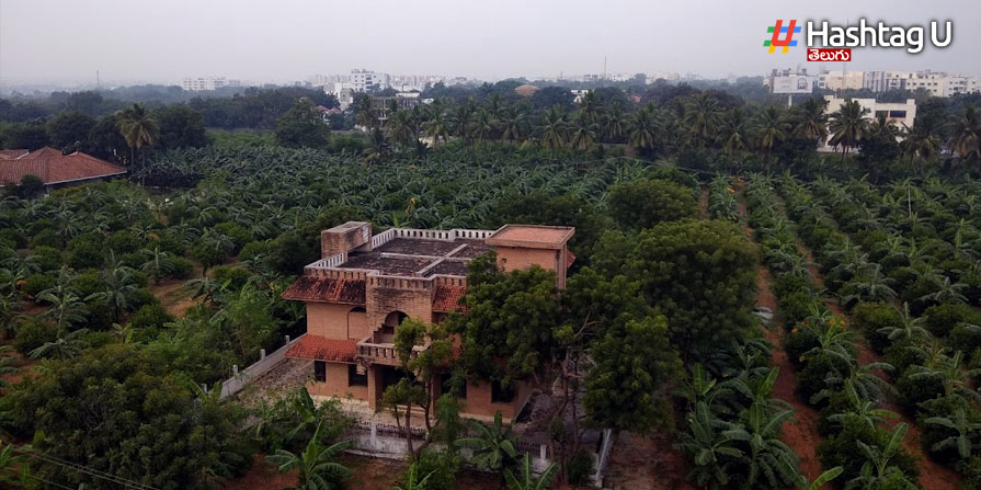Jj Garden