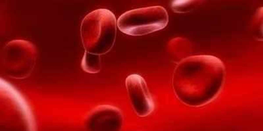 Anemia : బీరకాయతో రక్తహీనత సమస్యకు చెక్..!!