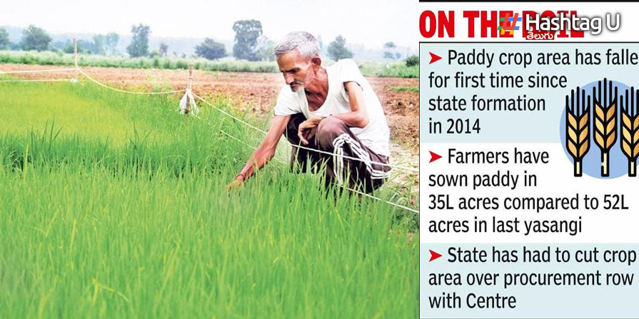 Paddy Dips: వరి వేస్తే ఉరేనా..? రికార్డు స్థాయిలో తగ్గిన విస్తీర్ణం!