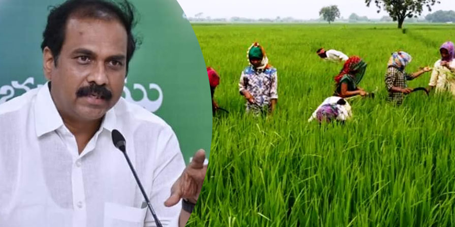 Andhra Pradesh Agriculture Budget