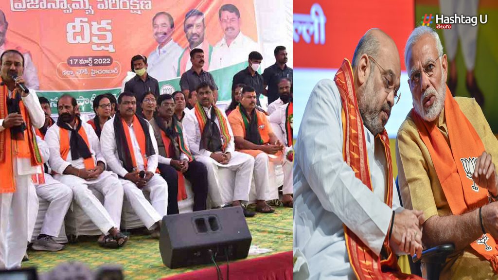 Bjp1