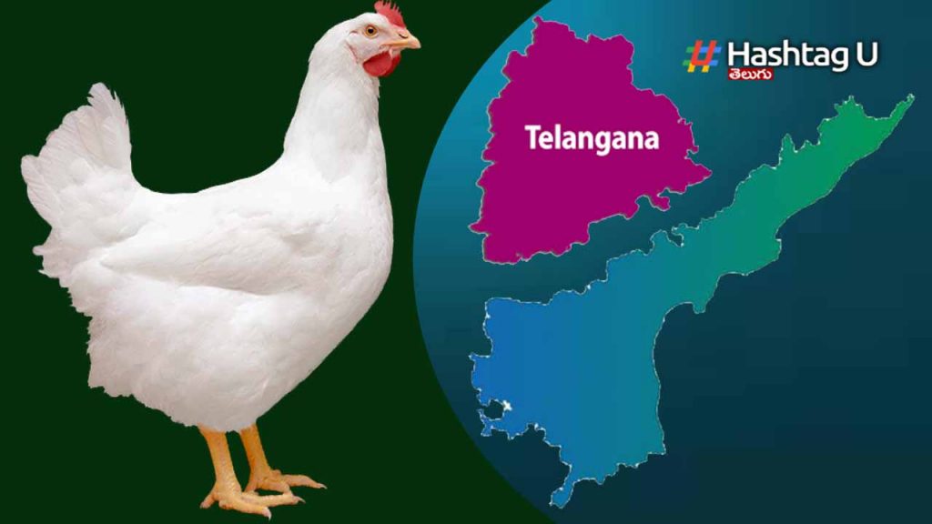 Chicken Prices Increase In Telugu States
