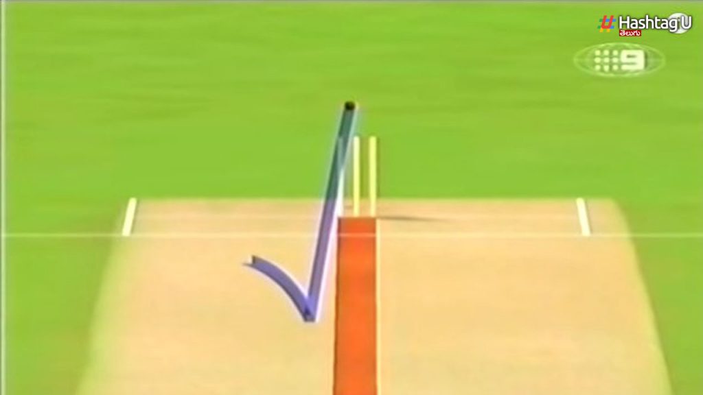 Cricket