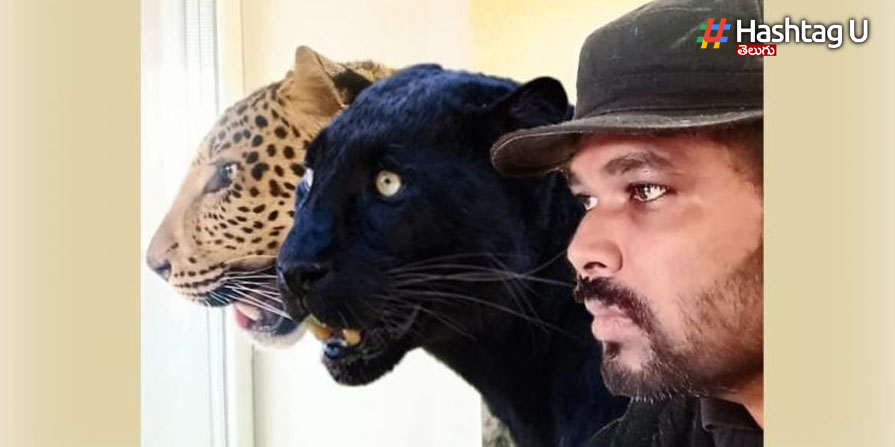 Jaguar Kumar: ఉక్రెయిన్ లో ‘తెలుగోడి’ గాండ్రింపు!