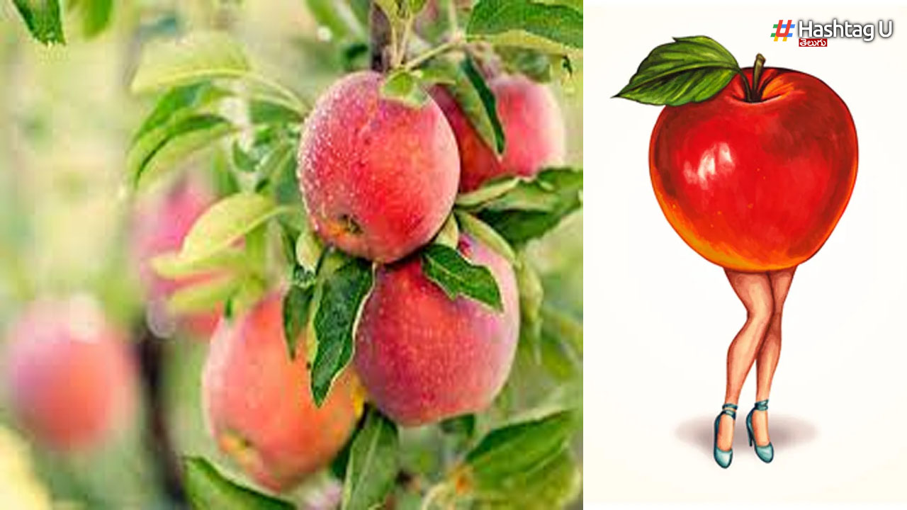 Apple Fruit: ఆపిల్ చరిత్ర మీకు తెలుసా?
