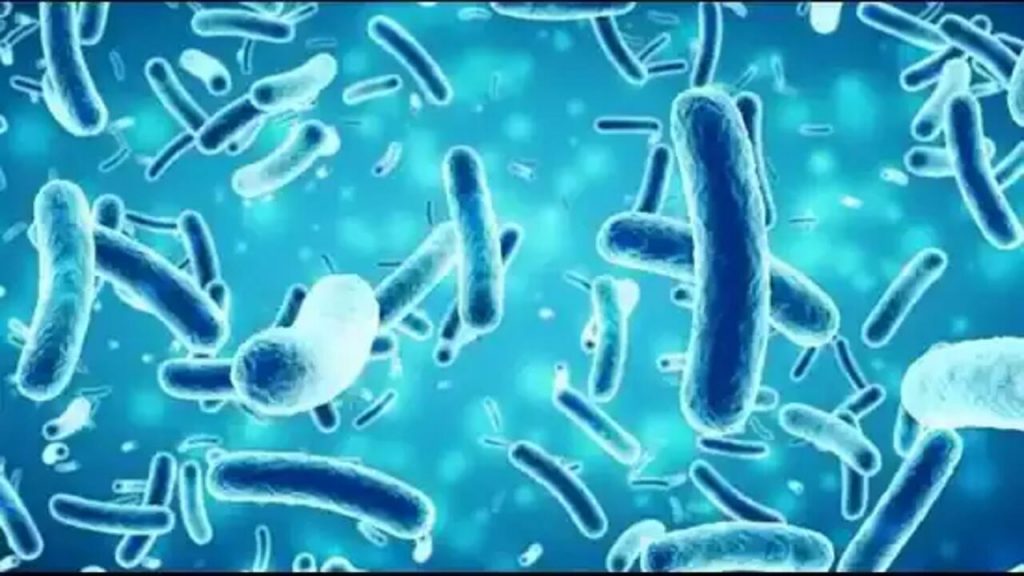 Bacterial