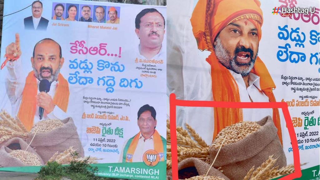 Bjp1