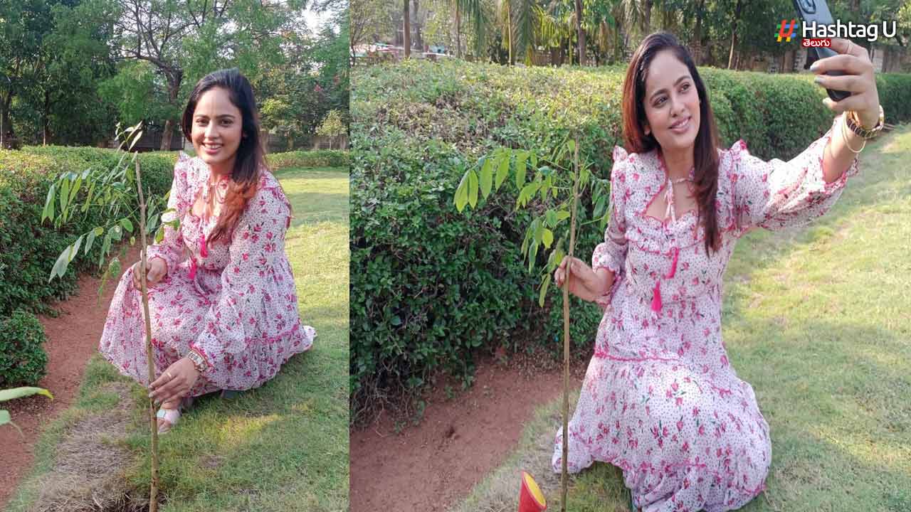 Nanditha Swetha: గ్రీన్ ఛాలెంజ్.. మొక్కలు నాటిన నందిత!