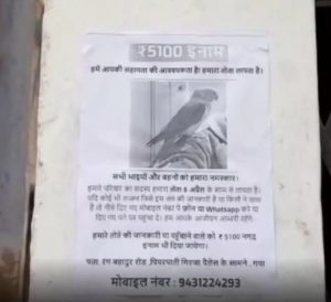 notice