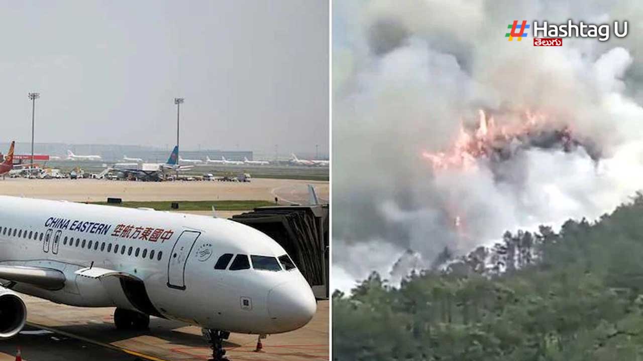 Boeing 737-800 crash : సాంకేతిక లోపం కాదు.. పైల‌ట్లే కావాల‌ని విమానం కూల్చేశారు..
