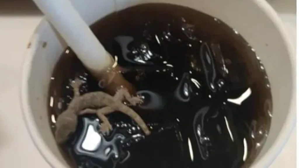 Dead Lizard