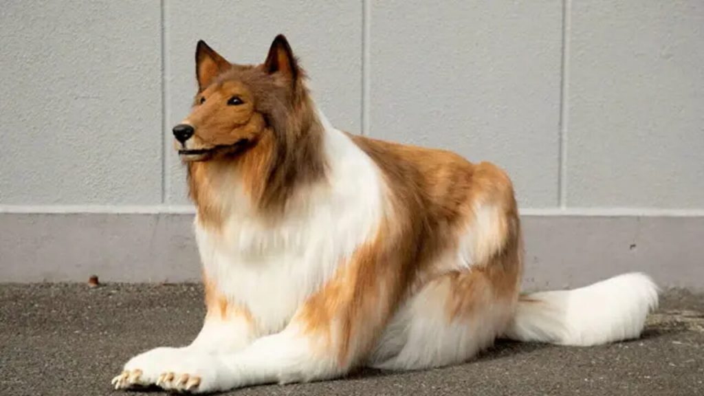 Dog Man