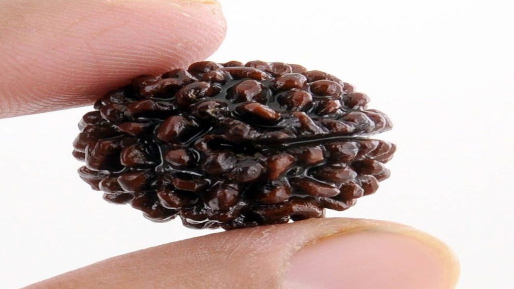 Rudraksha Imresizer