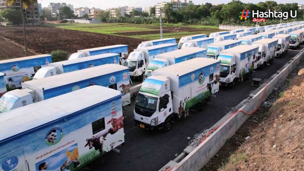 Veterinary Ambulances