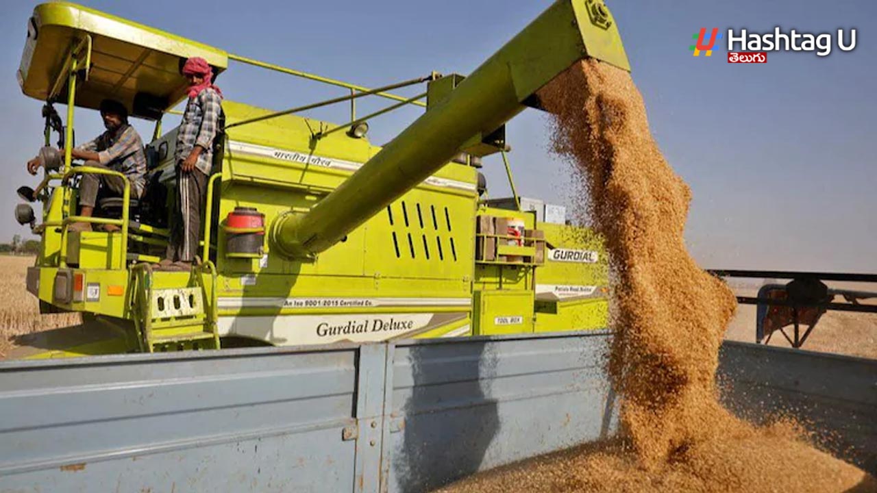 Wheat Export Ban : గోధుమ ఎగుమ‌తుల నిషేధం