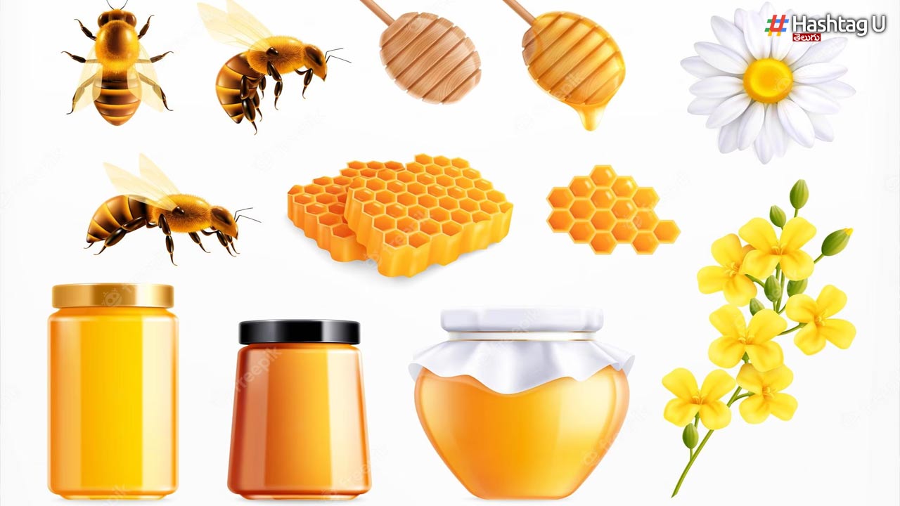 Honey Purity Check : తేనె ప్యూరిటీని ఇలా ఇంట్లోనే చెక్ చేయండి