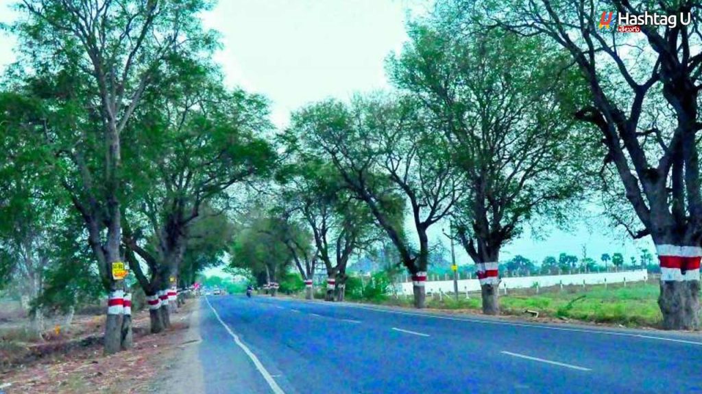 Karakatta Road