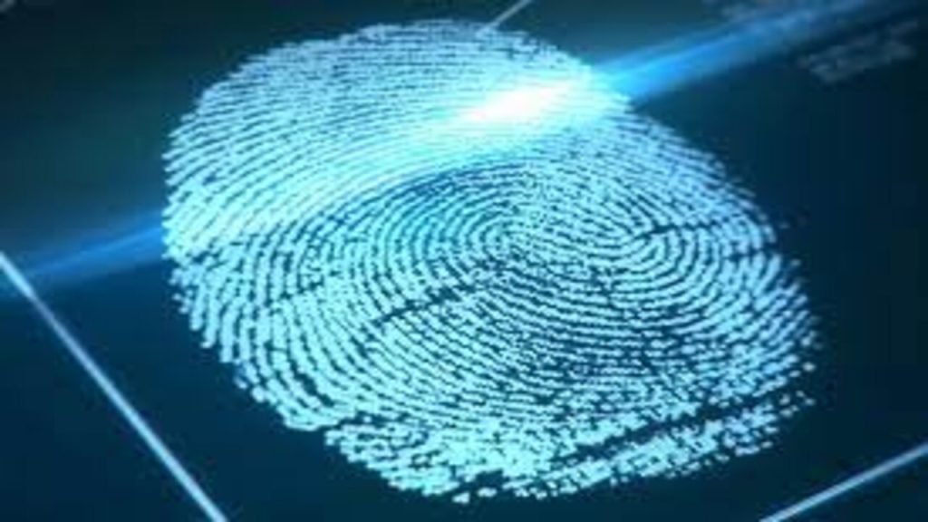fingerprints