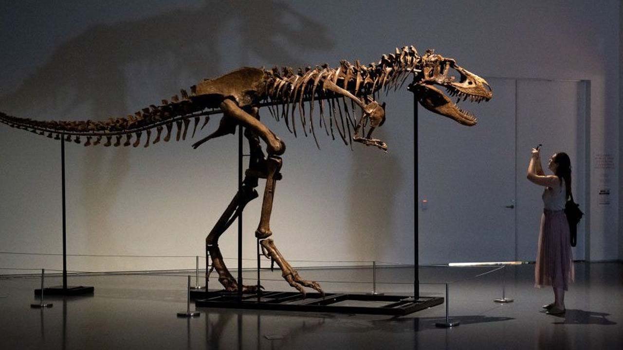 Dinosaur : వామ్మో.. ఈ డైనోసార్ అస్థి పంజరం ధర అక్షరాలా రూ.47.52 కోట్లు!