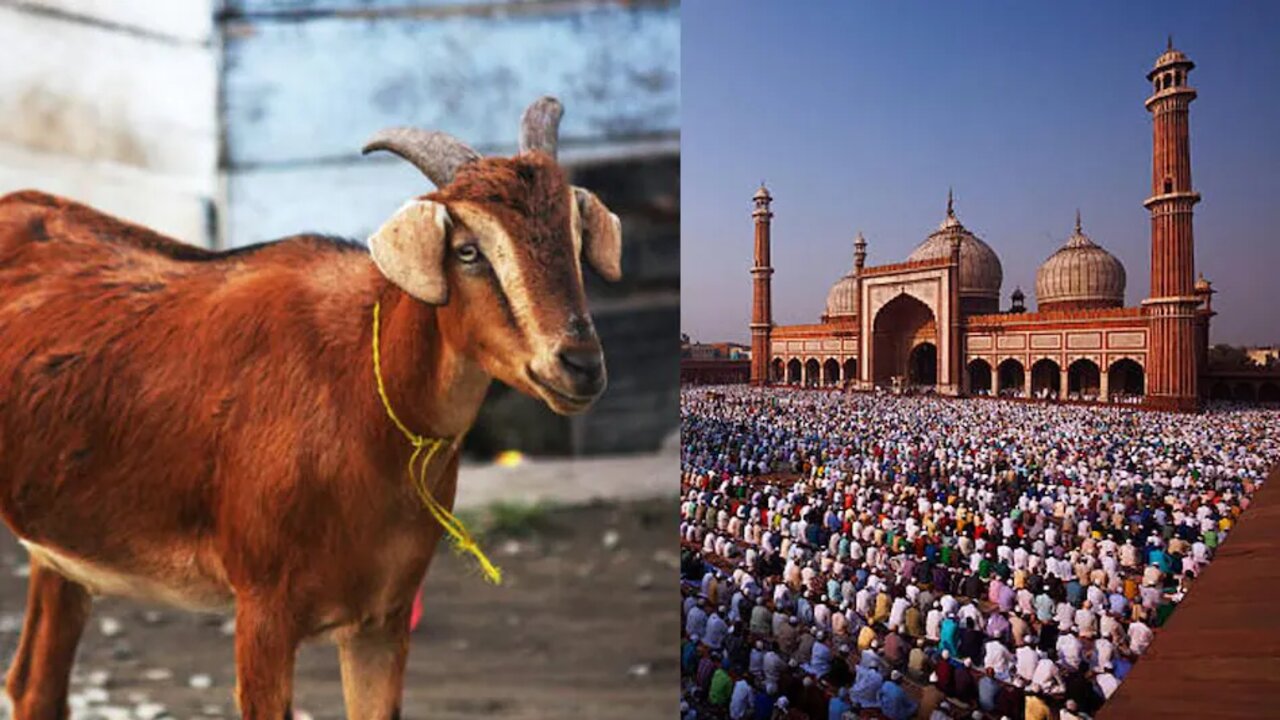 Bakri Eid 2022: బక్రీద్ రోజు గొర్రెపిల్లను ఎందుకు బలిస్తారో తెలుసా..?