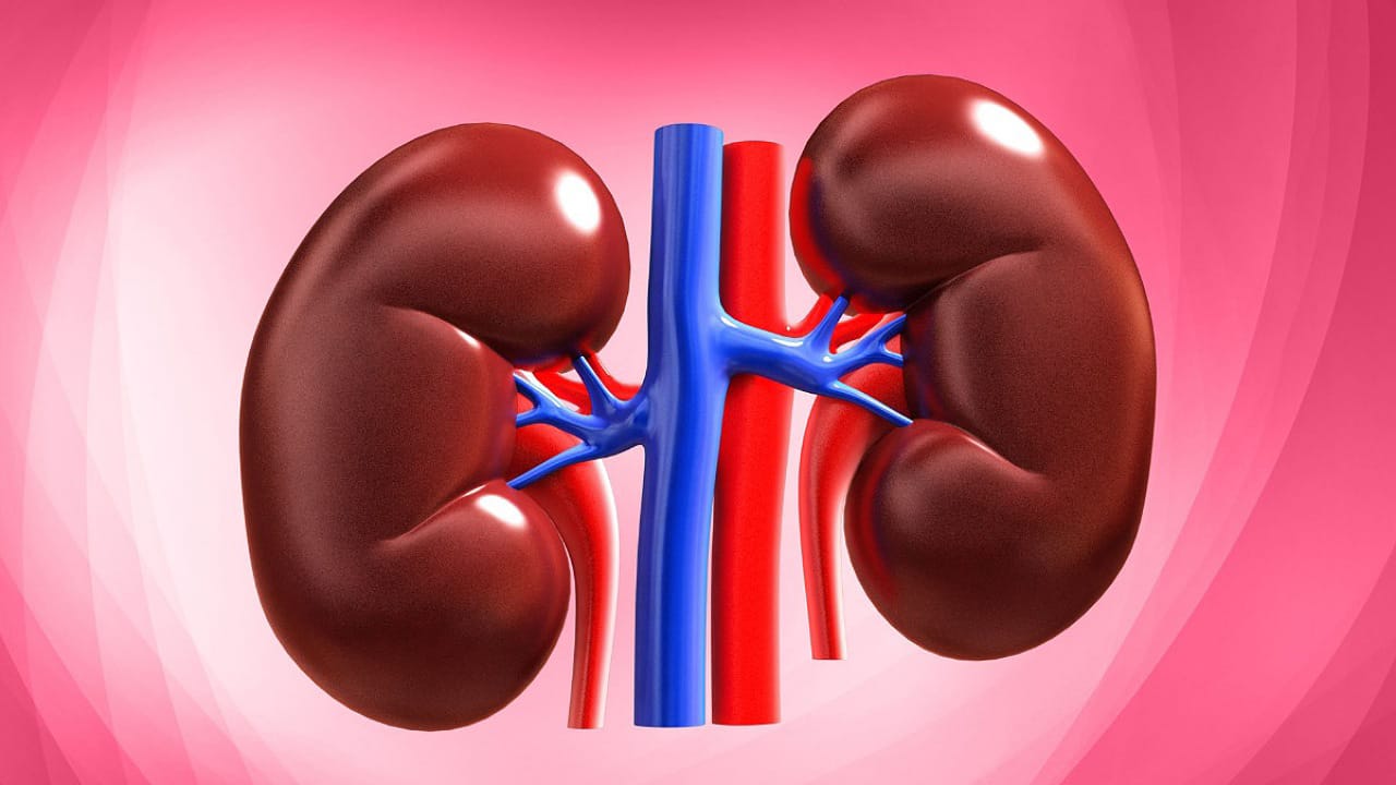 Kidney Stone Diet : హెల్తీ కిడ్నీస్ కోసం హెల్తీ ఫుడ్స్..