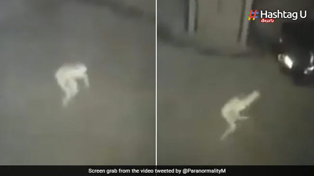 Mysterious Pale