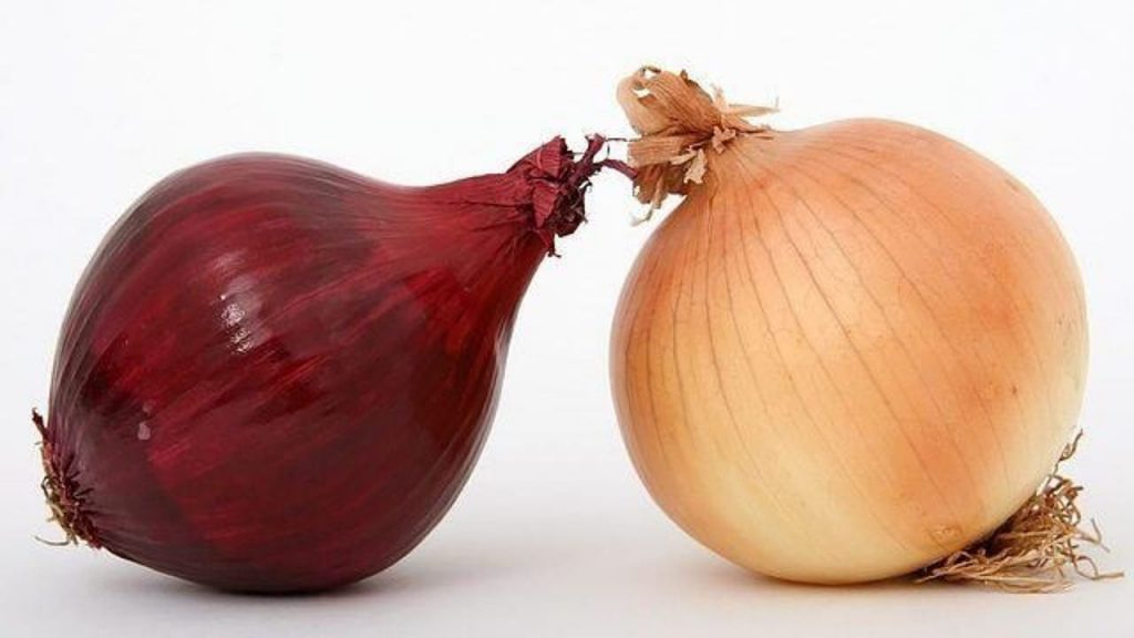 Onions