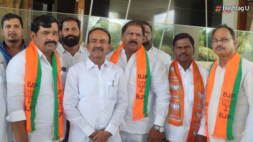 Bjp