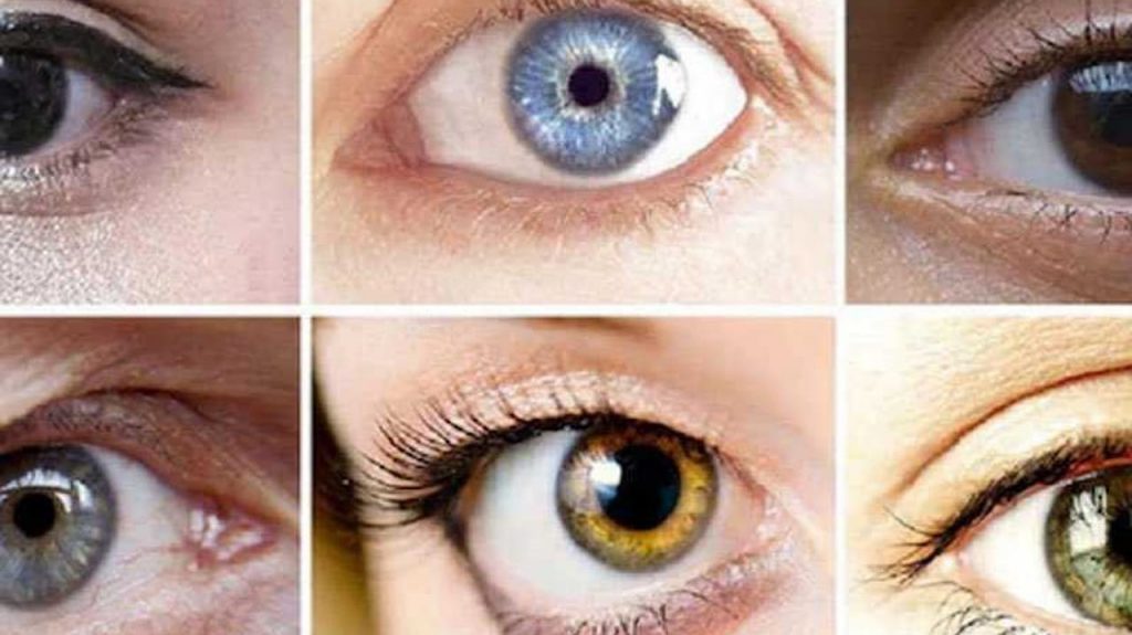 Eyes