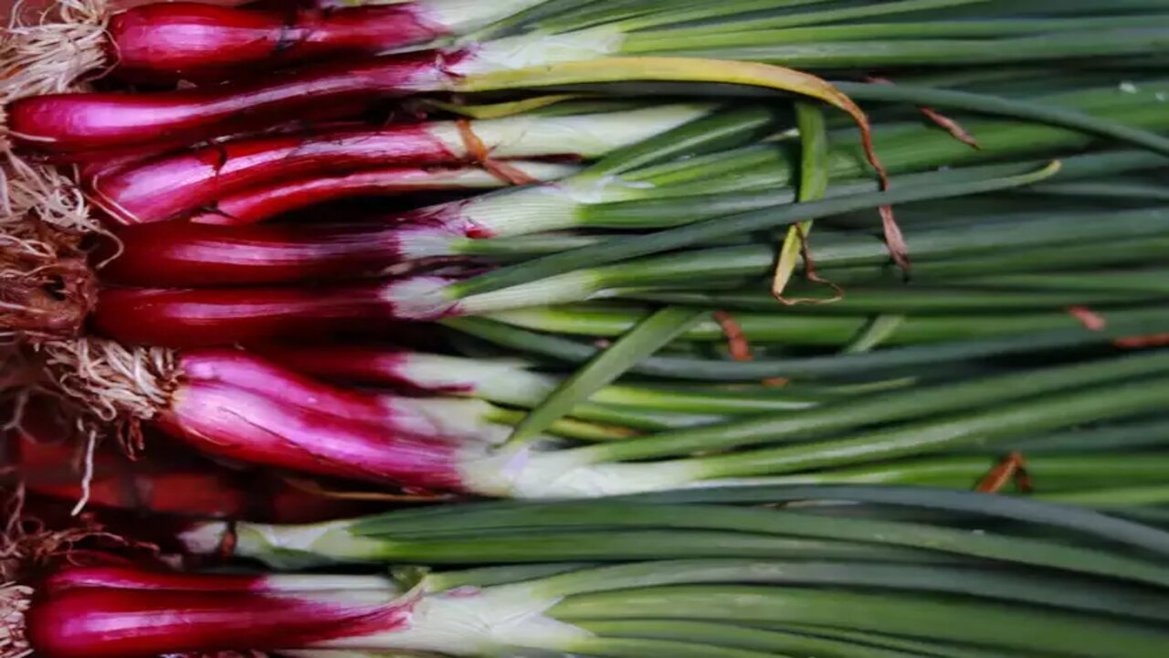 Spring Onions : ఉల్లి కాడలు తింటున్నారా, అయితే మీ శరీరంలో జరిగే మార్పులు ఇవే..!!