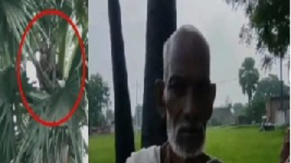 Uttar Pradesh