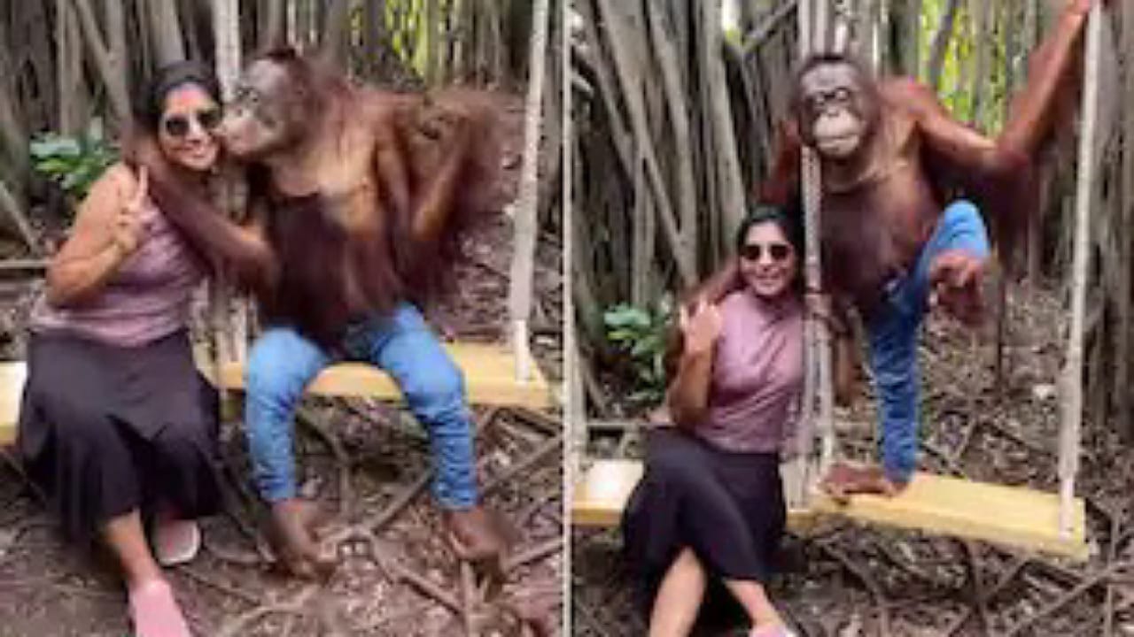 Chimpanzee in Jeans Kisses Woman: జీన్స్ వేసిన చింపాంజీ.. మహిళపై ముద్దుల వర్షం.. యాక్షన్ మాములుగా లేదుగా!