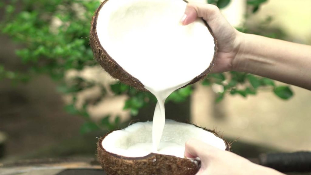 Coconut Milk