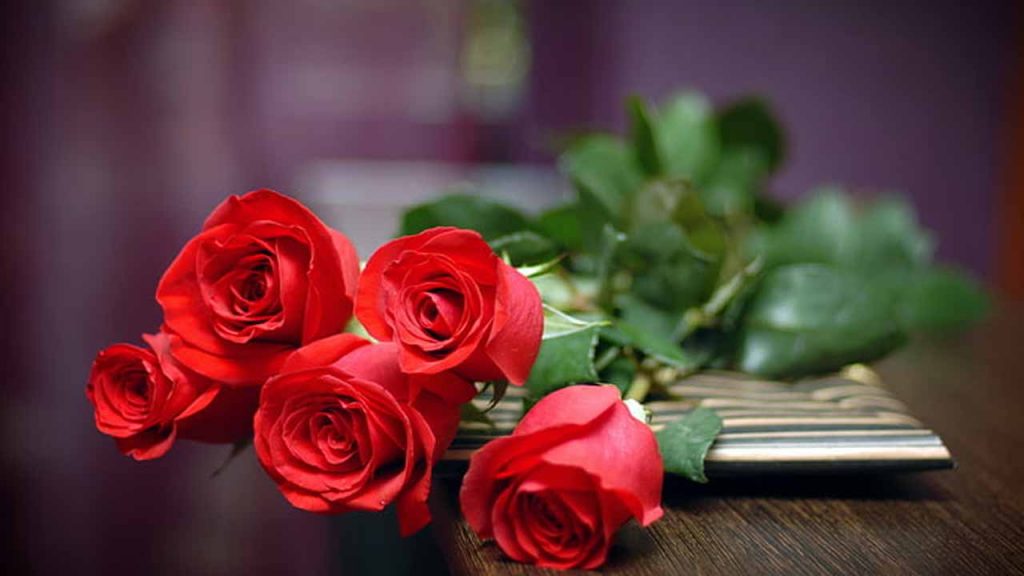 Rose Benefits