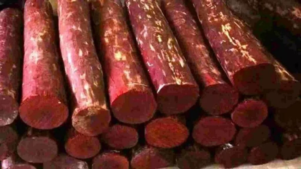 Red Sandalwood