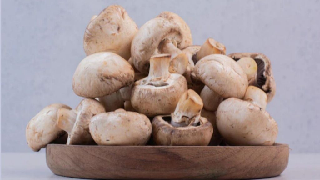 Mushroom