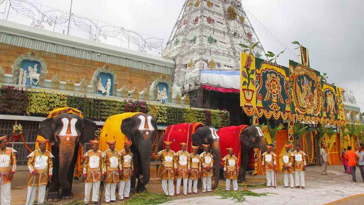 Tirumala Brahmotsavam: శ్రీవారి సేవలకు సిద్ధమైన గజరాజులు