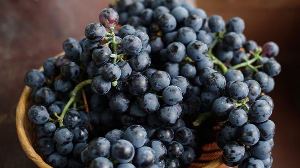 Black Grapes