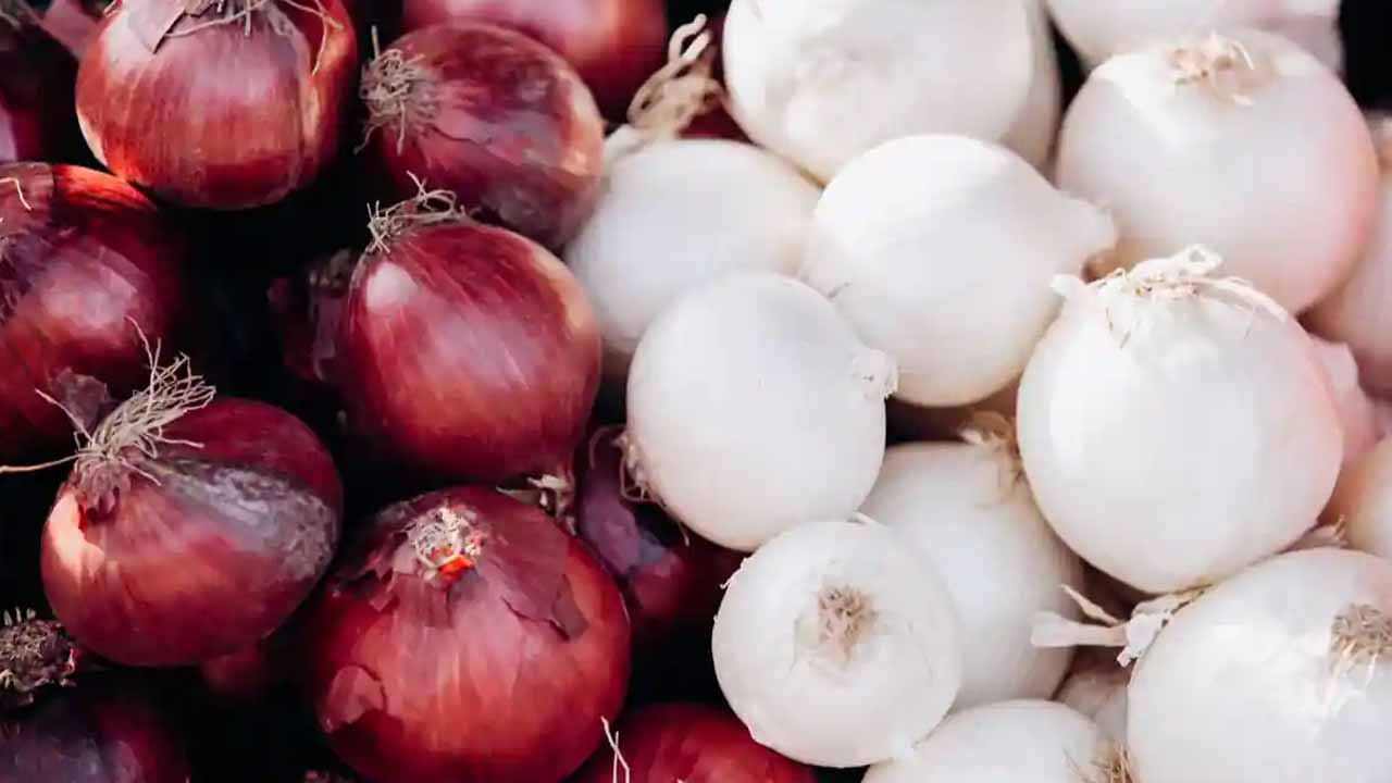 Onion Exports: ఉల్లి ఎగుమతులపై 40 శాతం సుంకం విధించిన కేంద్రం.. కారణమిదేనా..?