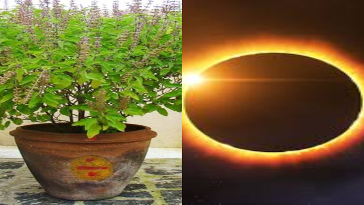 Solar Eclipse : సూర్యగ్రహణానికి 2 రోజుల ముందు తులసి చెట్టు దగ్గర ఈ పనిచేయకండి..పాపం మూటగట్టుకున్నట్లే..!!