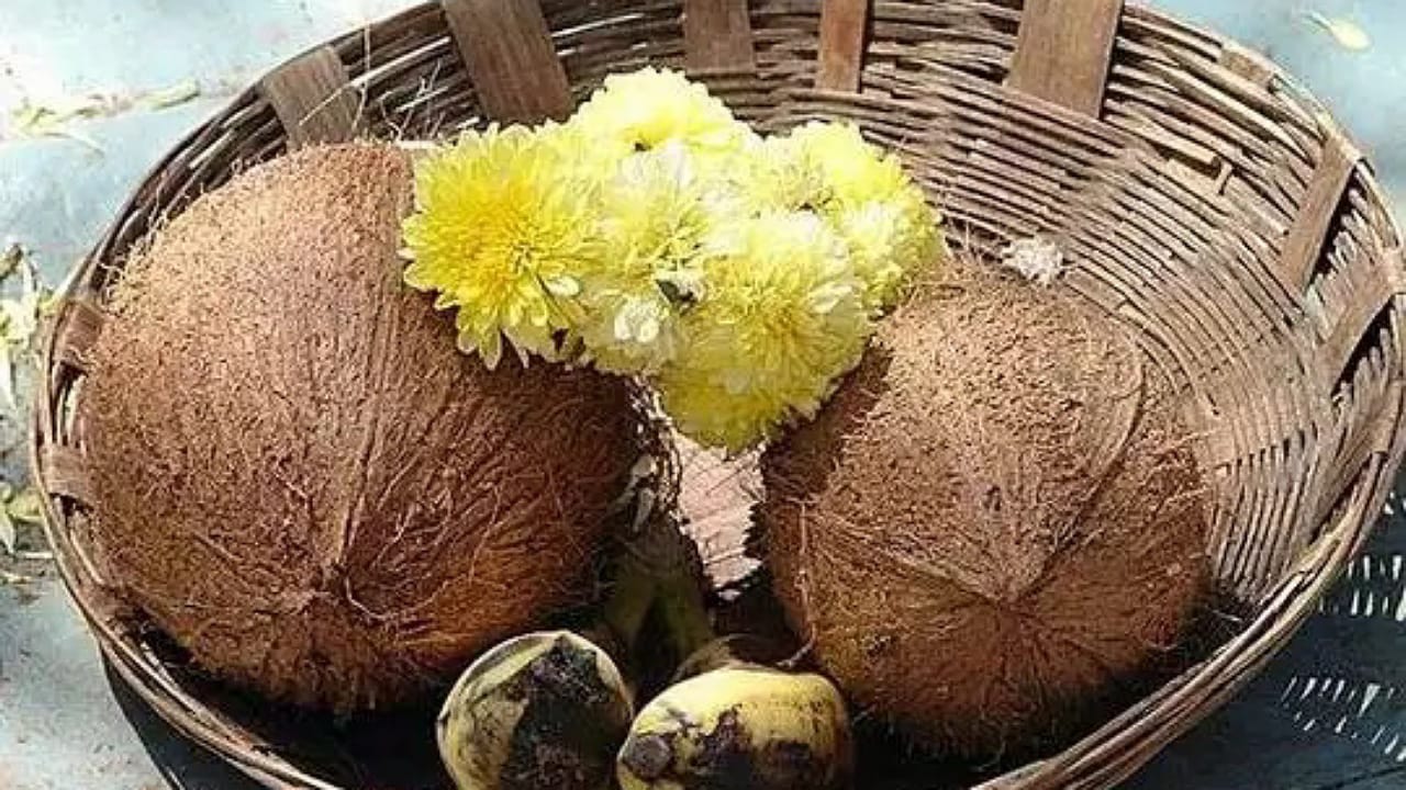 Coconut: కొబ్బరికాయ కొట్టడంలో పాటించాల్సిన నియమాలు విధివిధానాలు ఇవే?