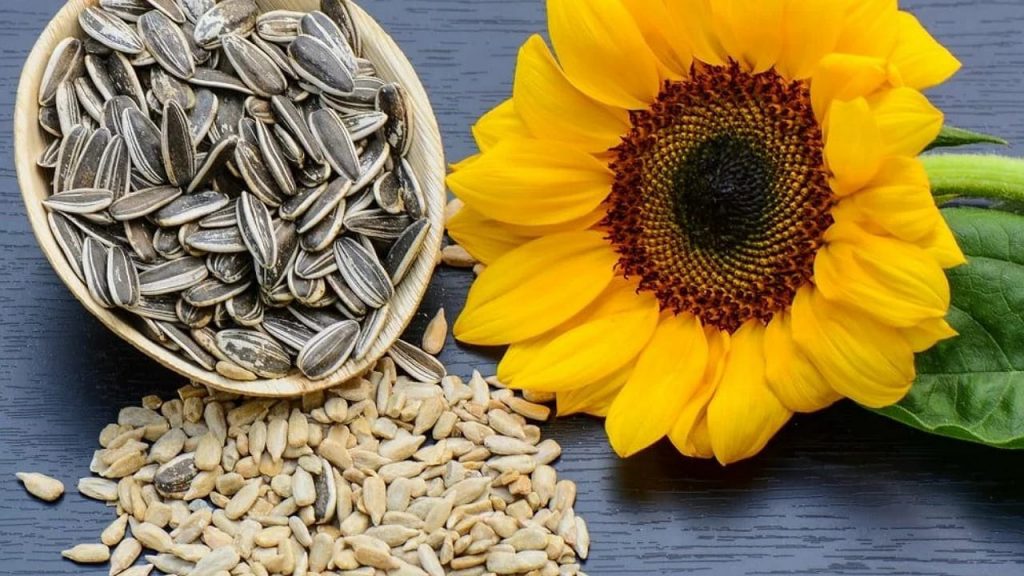 Sunflower Seeds