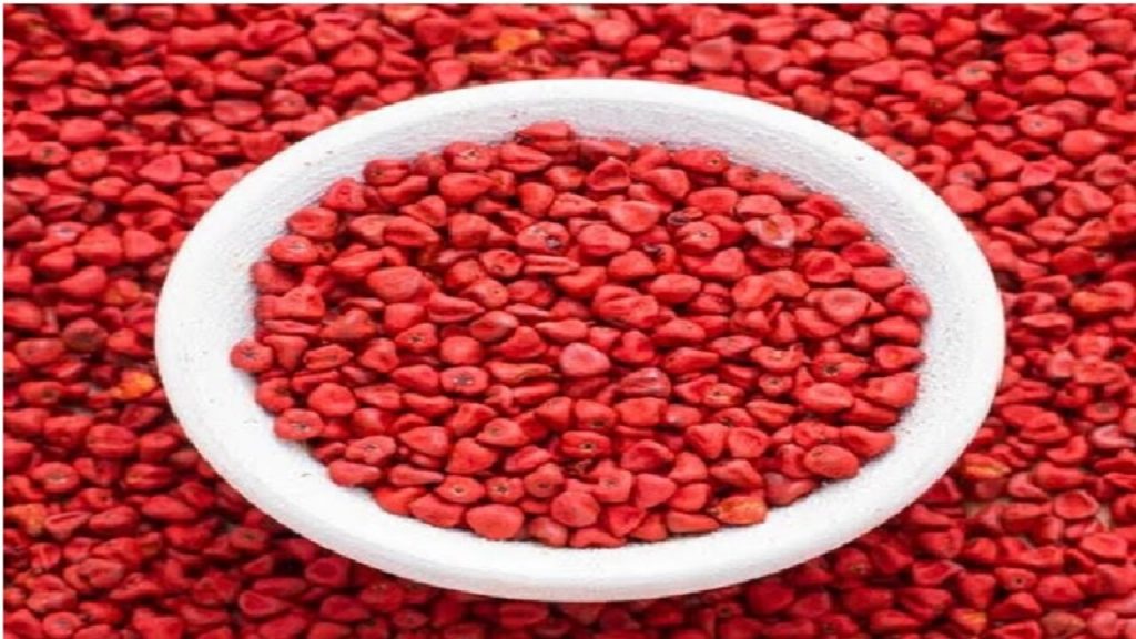 Anatto Seeds