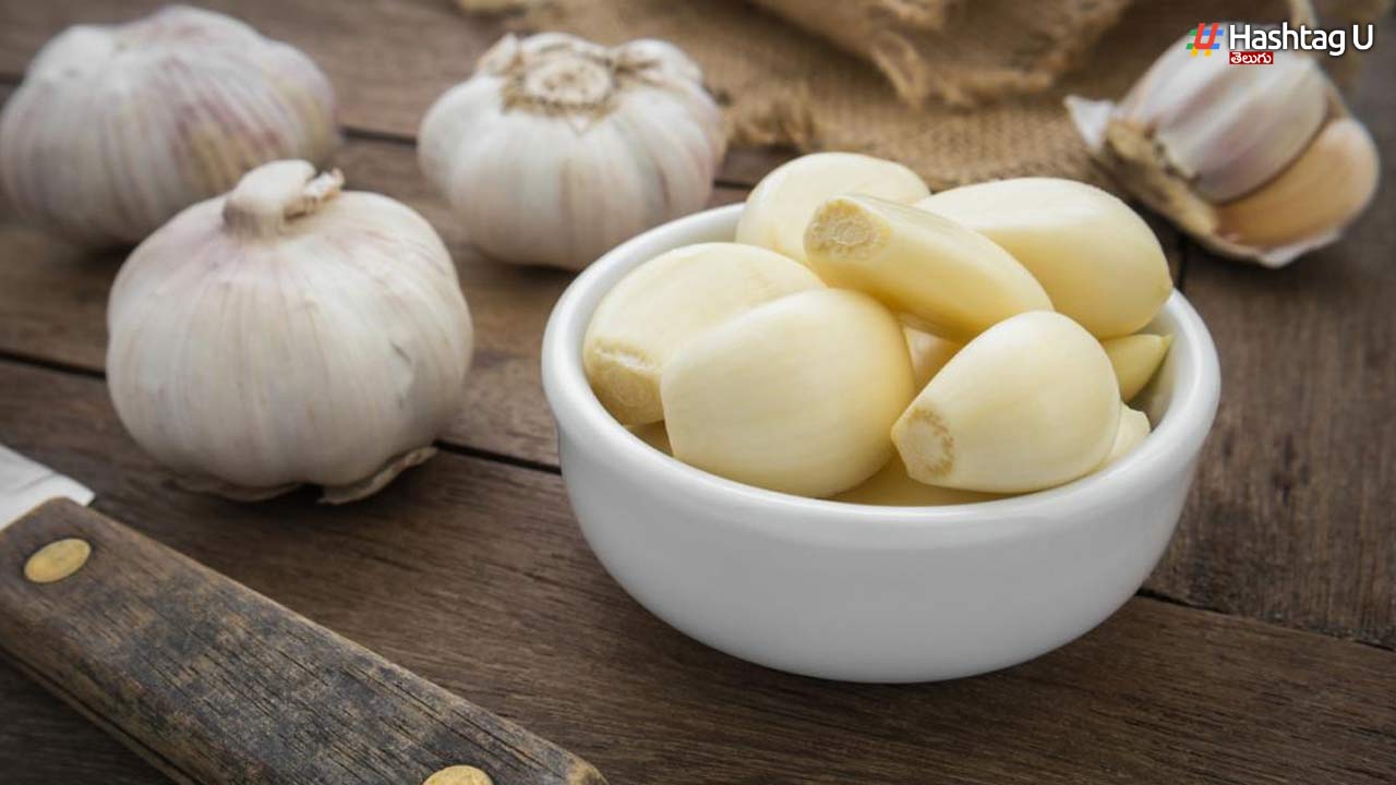 Garlic Health Benefits: చలికాలంలో వెల్లుల్లి తినడం వల్ల కలిగే ప్రయోజనాలు ఇవే..!