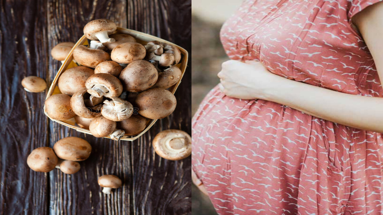 Pregnancy : ప్రెగ్నెన్సీ సమయంలో పుట్టగొడుగులు తినవచ్చా…?