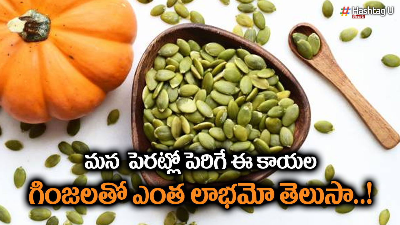 Benefits of Pumpkin Seeds: గుమ్మడి గింజలు ఒక్క ప్రయోజనాలు మీకు తెలుసా..!