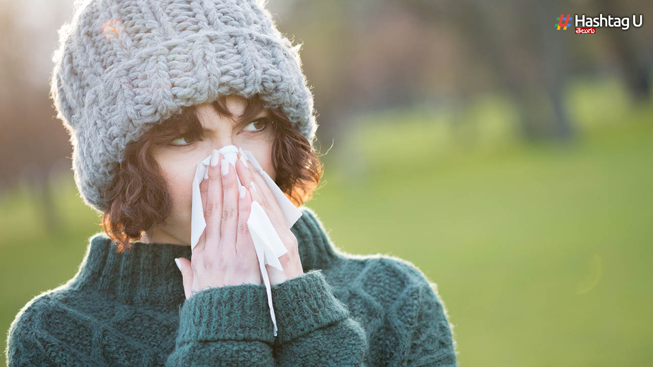 Winter Colds : శీతాకాలంలో మాత్రమే జలుబుకు కారణమేమిటి?