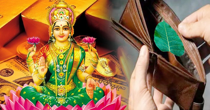 Lakshmi Devi: పర్సులో ఈ ఒక్క వస్తువు పెట్టుకుంటే చాలు.. కాసుల వర్షమే?